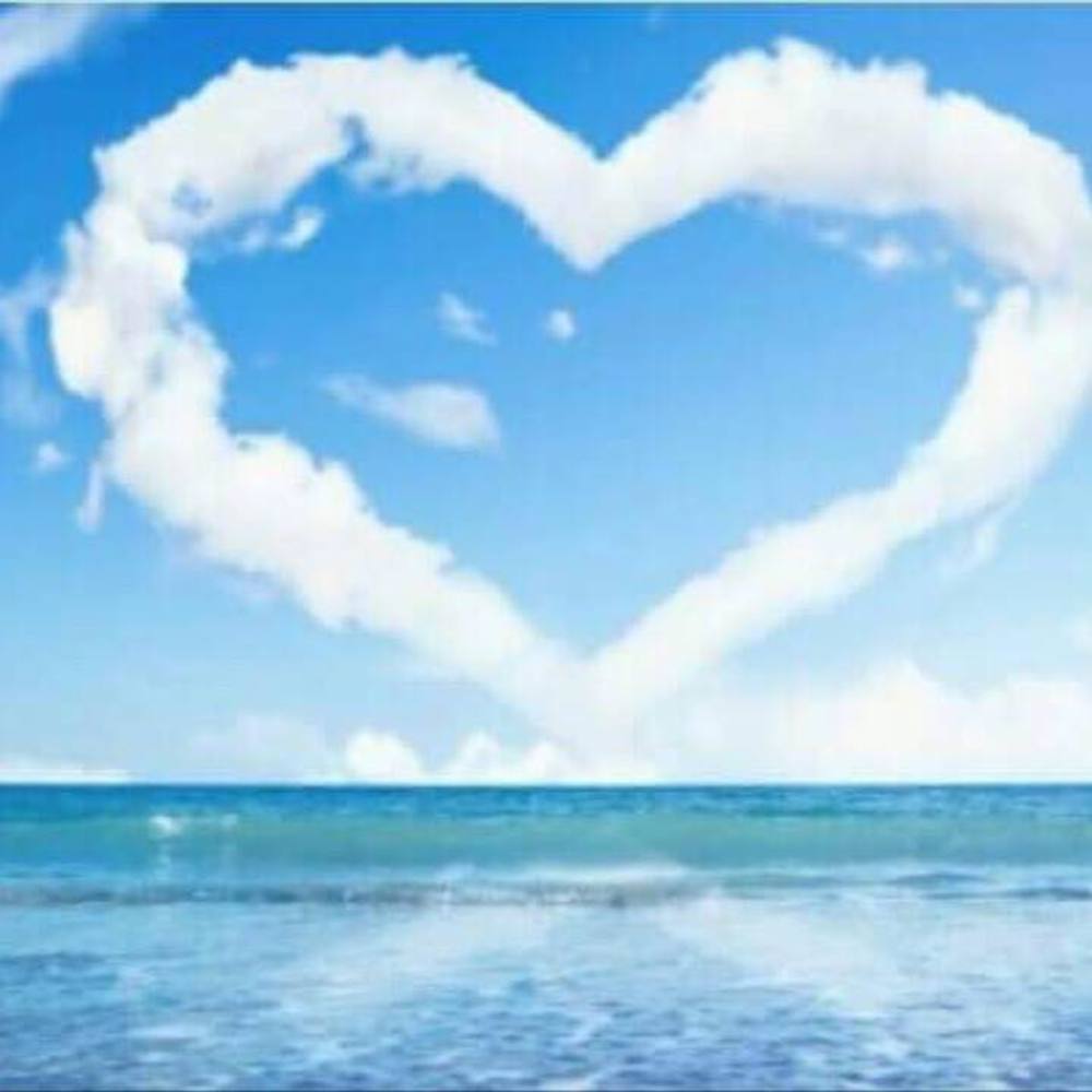 Meet your Posher, Judy